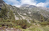 Pirin mountains - at the slopes of Vihren 